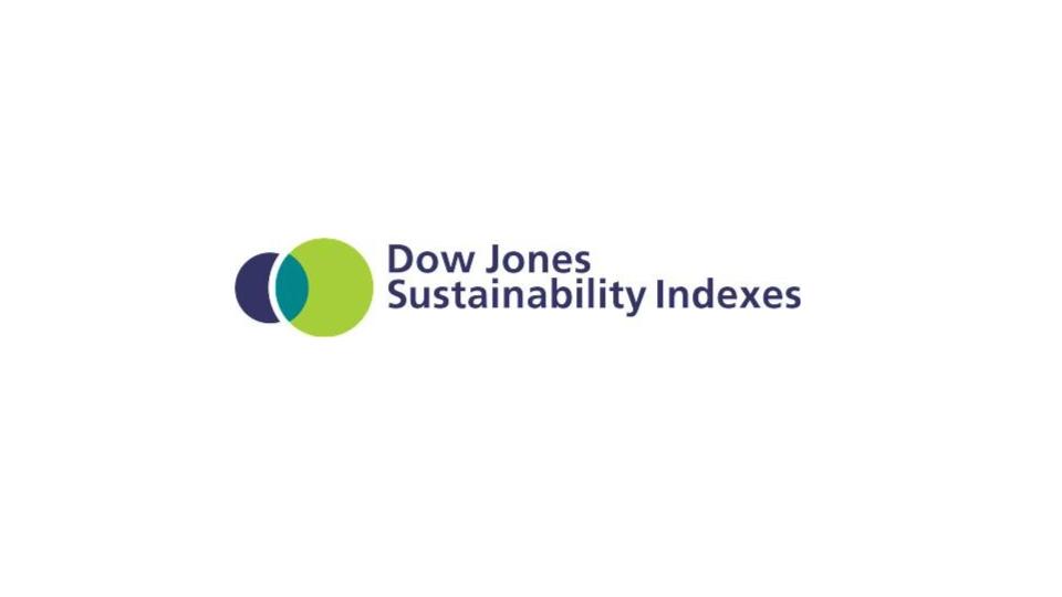 Logo Dow Jones Sustainability Index