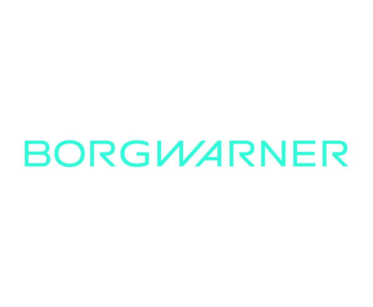 BorgWarner Logo