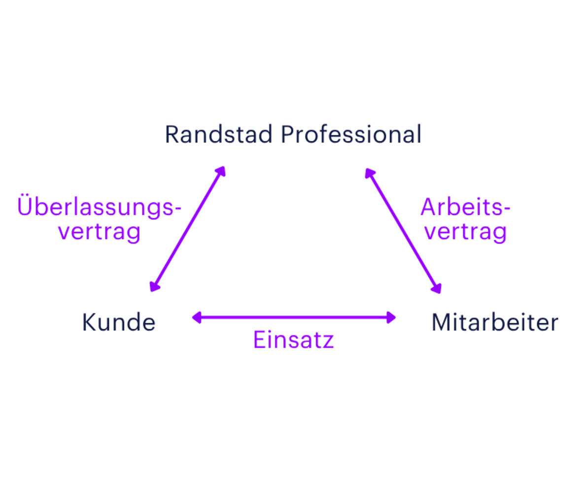Infografik Schweizer Projektmodell